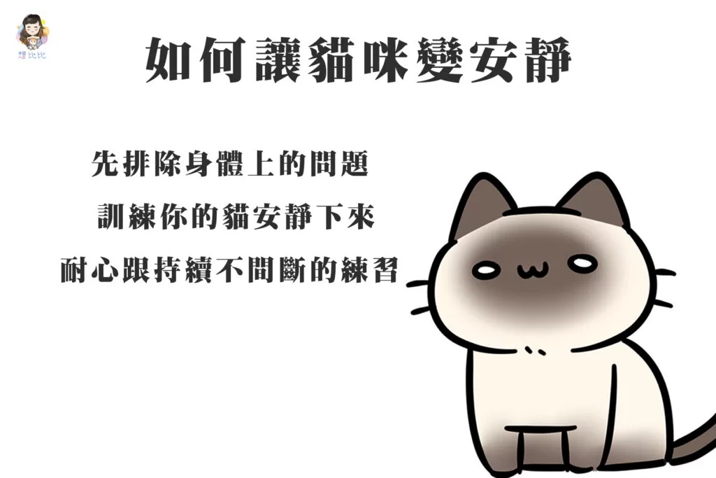 如何讓貓咪變安靜