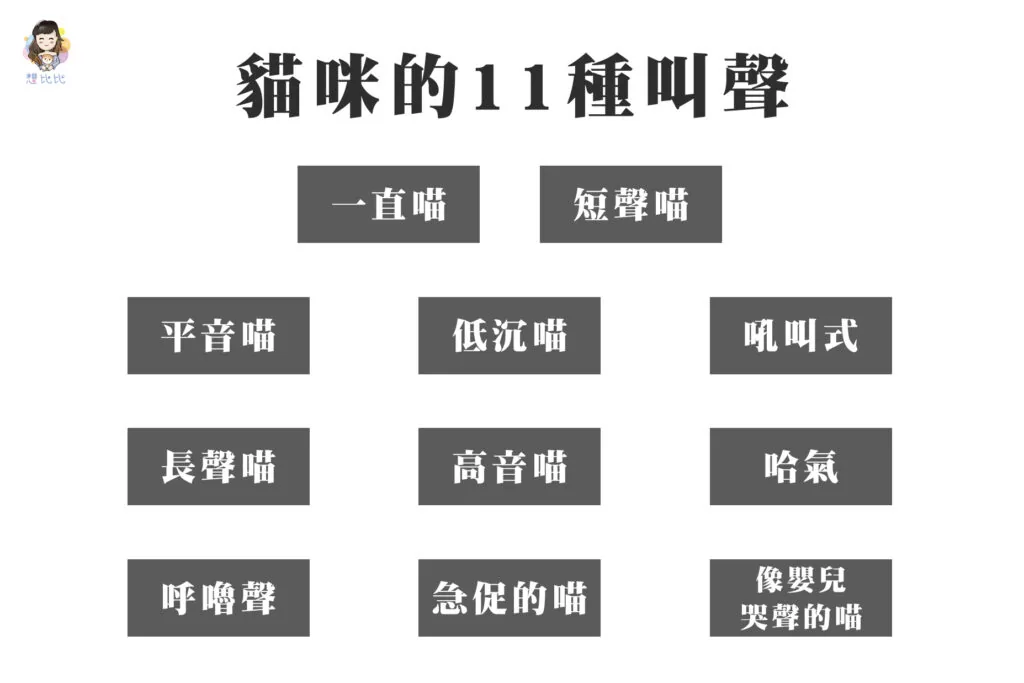 貓咪的11種叫聲