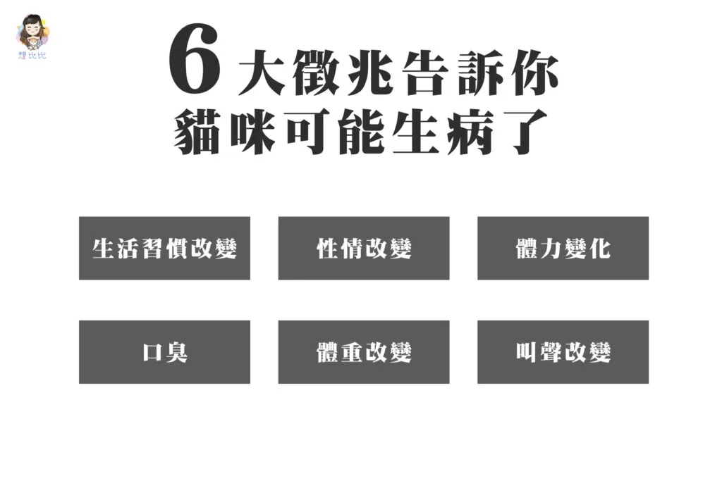 6大徵兆告訴你貓咪可能生病了