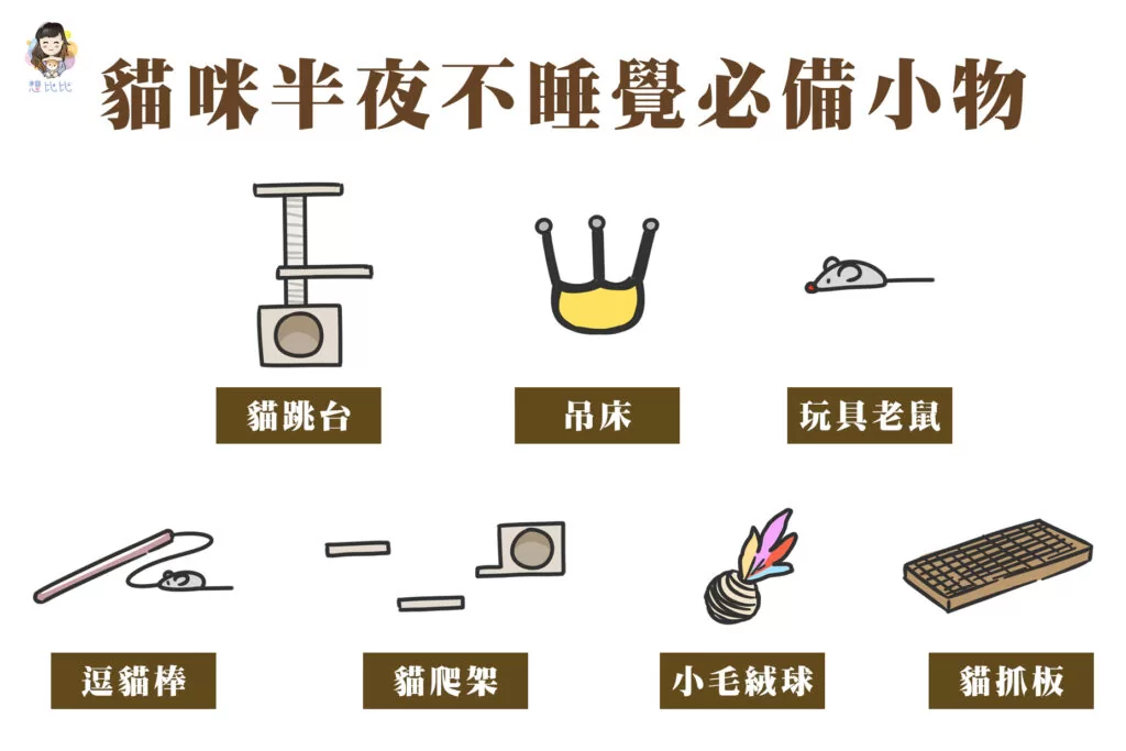 貓咪半夜不睡覺必備小物