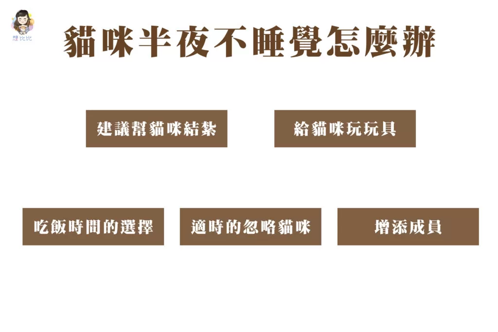貓咪半夜不睡覺怎麼辦
