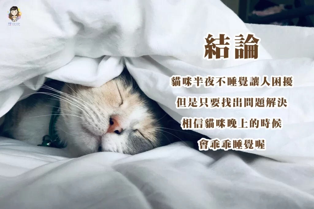 貓咪半夜不睡覺讓人困擾但是只要找出問題解決相信貓咪晚上的時候會乖乖睡覺喔