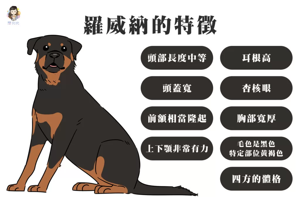 羅威納的特徵