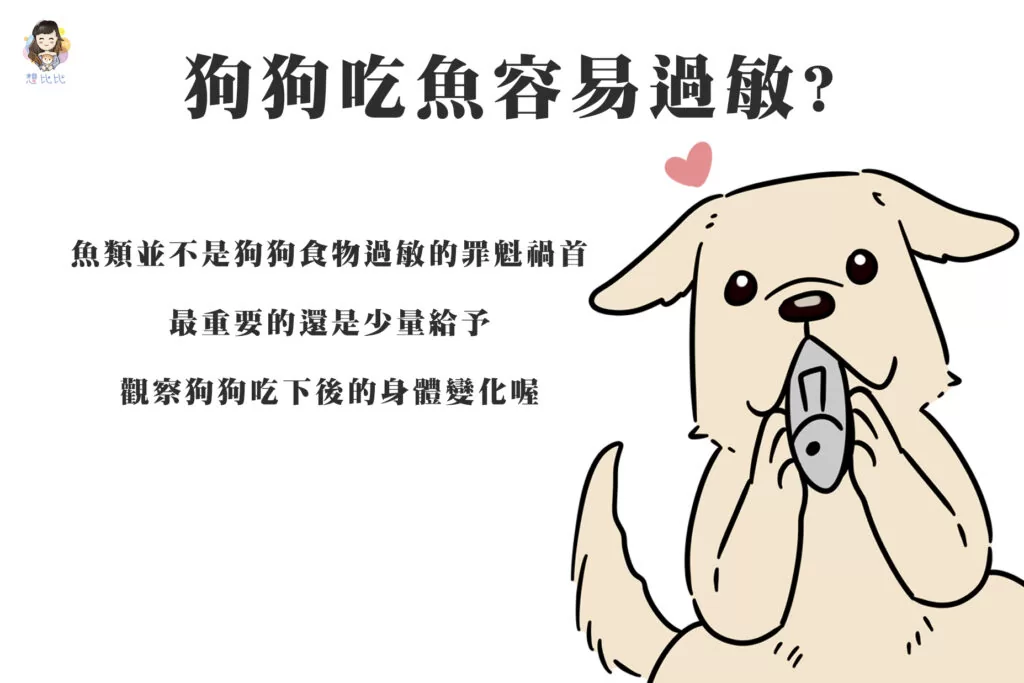狗狗吃魚容易過敏?