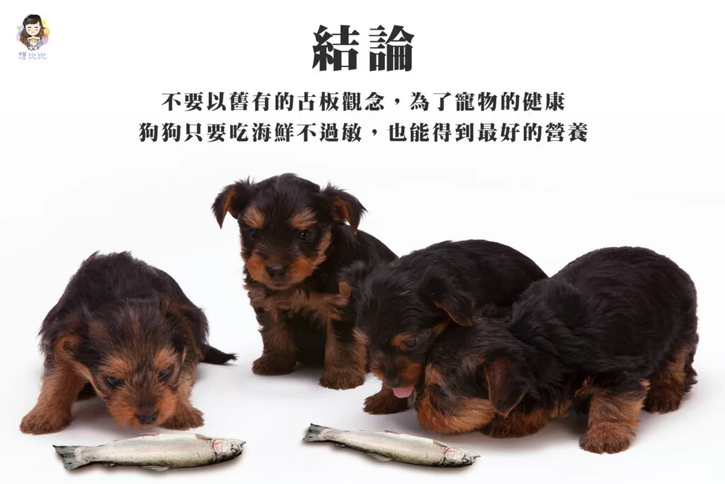 狗狗只要吃海鮮不過敏,也能得到最好的營養