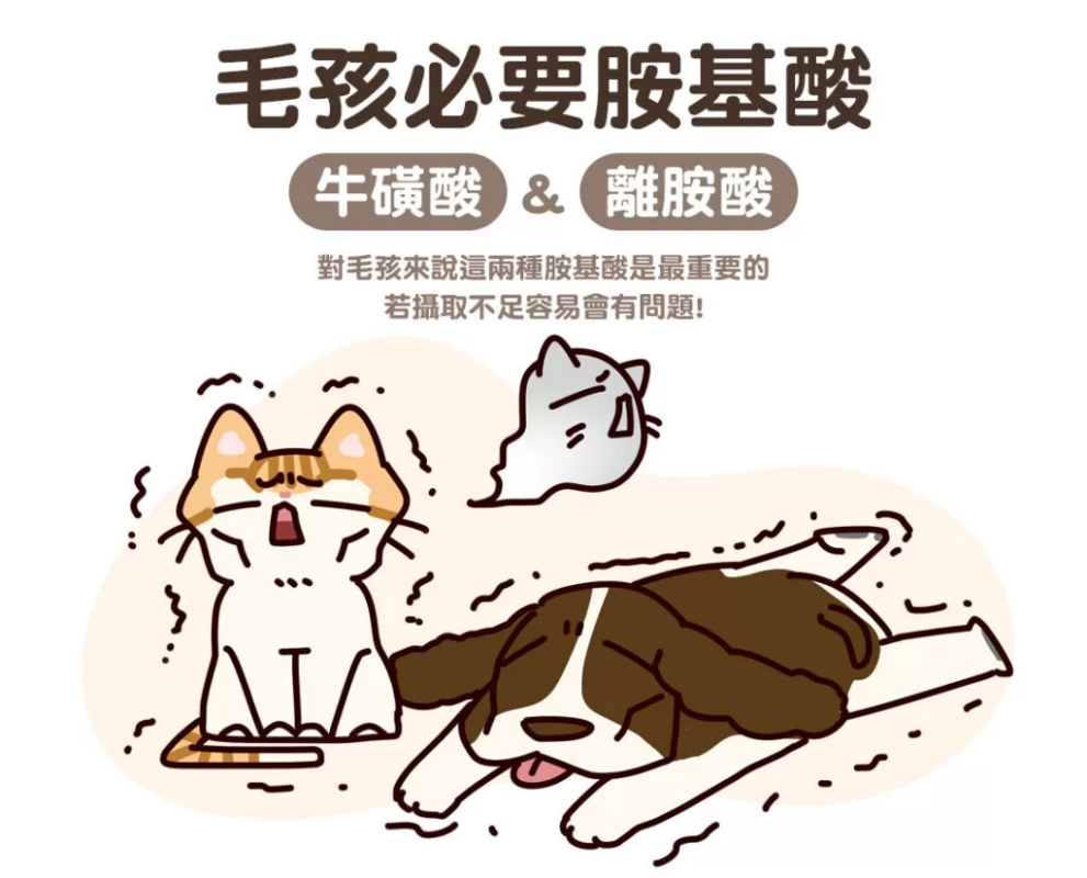 了解牛磺酸對貓咪心臟和視力健康的重要性