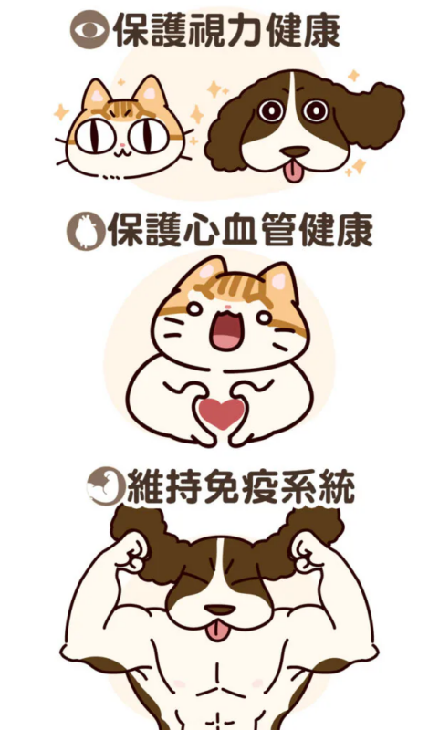牛磺酸作用
