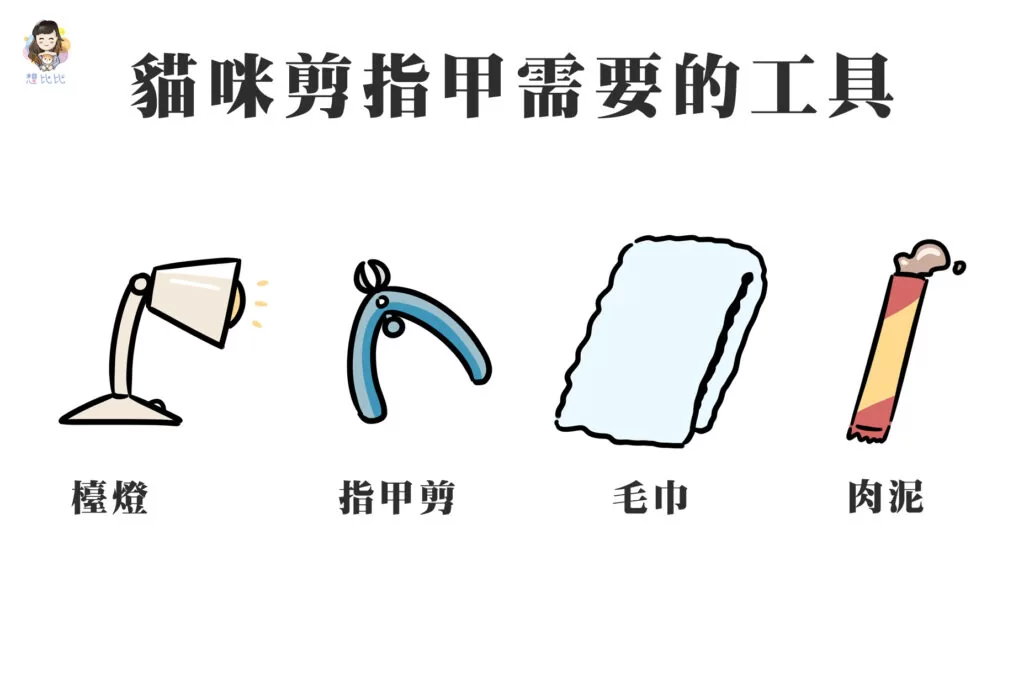 貓咪剪指甲需要的工具