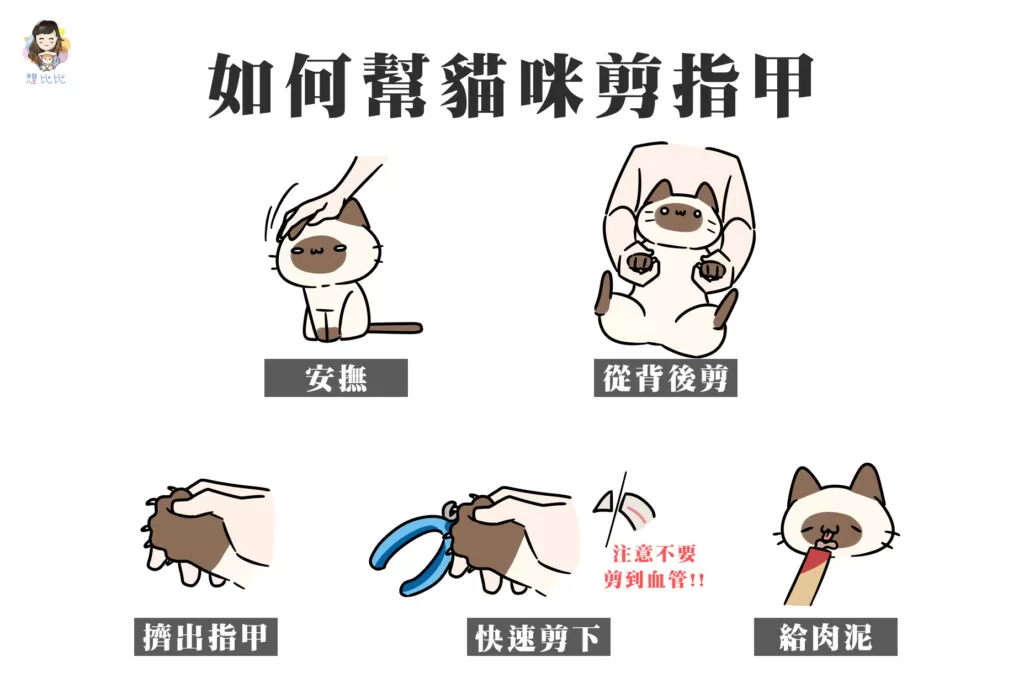 如何幫貓咪剪指甲