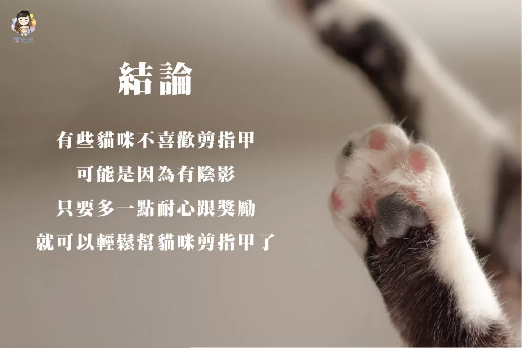 有些貓咪不喜歡剪指甲可能是因為有陰影,只要多一點耐心跟獎勵就可以輕鬆幫貓咪剪指甲了