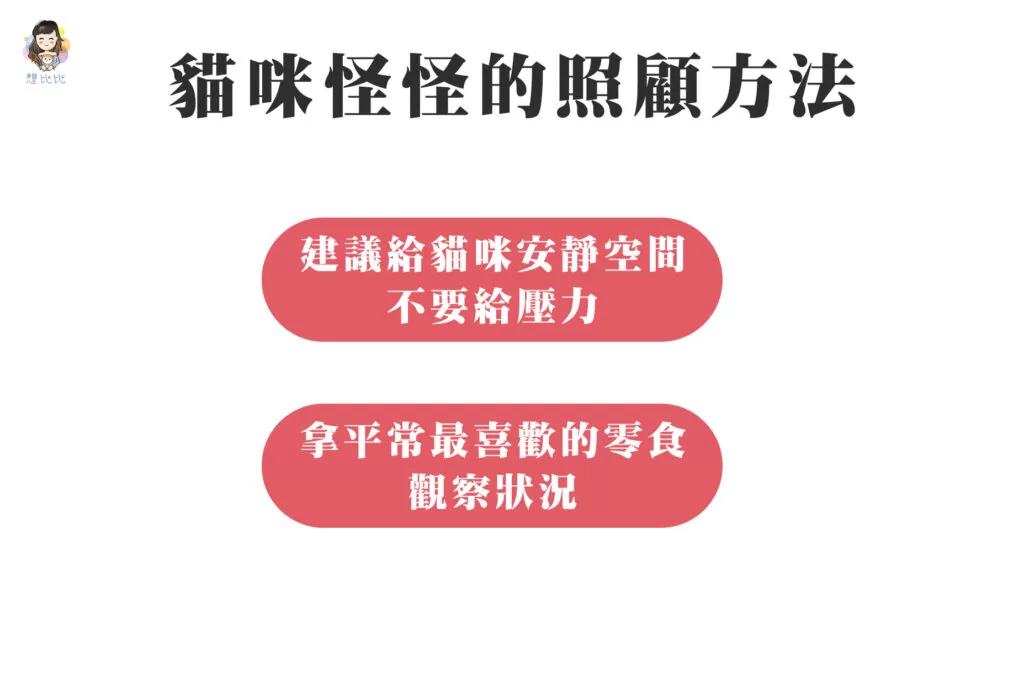貓咪怪怪的照顧方法