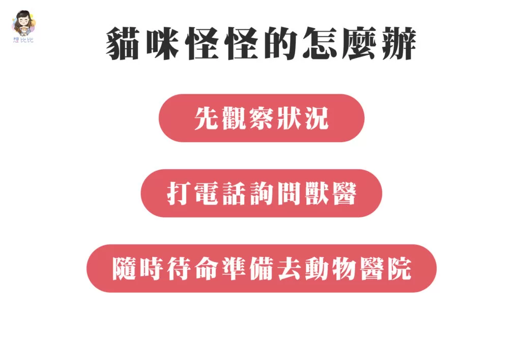 貓咪怪怪的怎麼辦