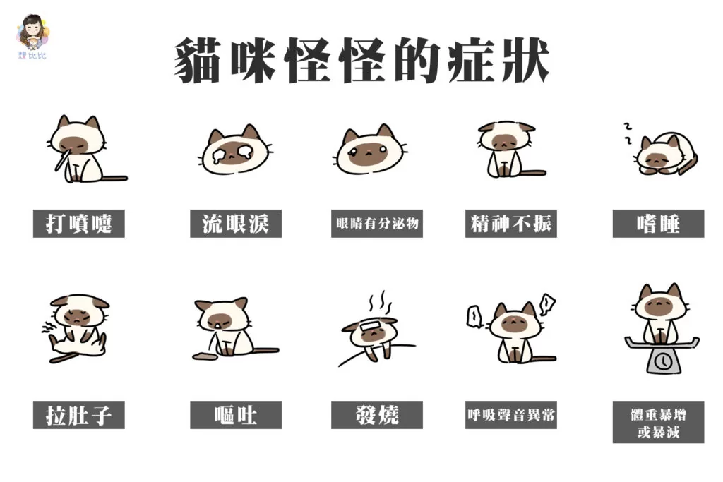 貓咪怪怪的症狀