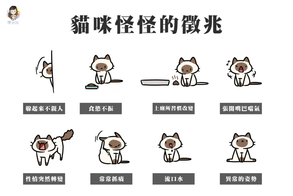 貓咪怪怪的徵兆