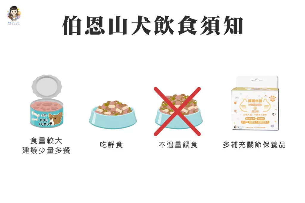 伯恩山犬飲食須知