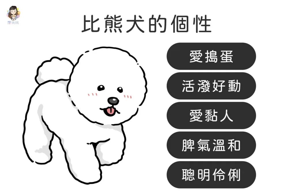 比熊犬的個性