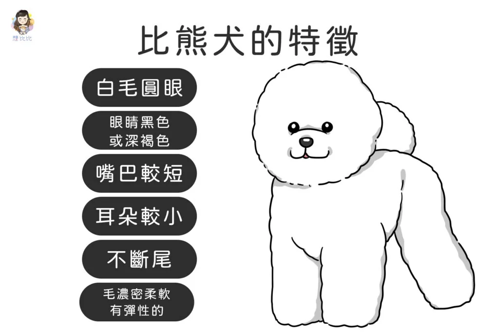 比熊犬的特徵