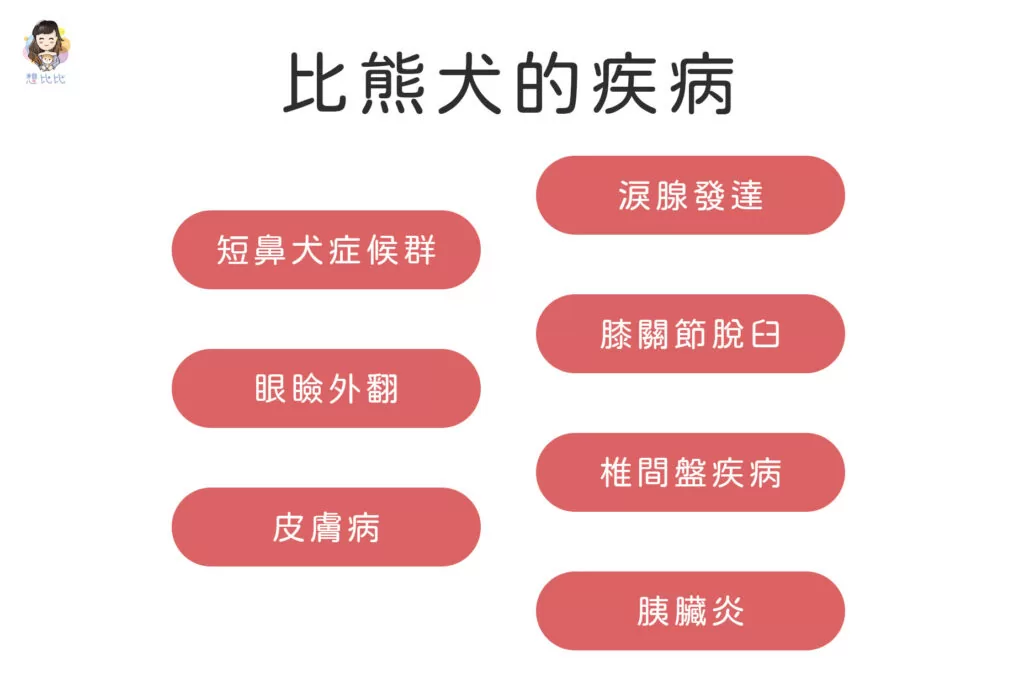 比熊犬的疾病