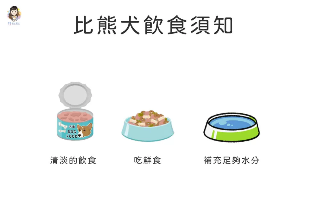 比熊犬飲食須知