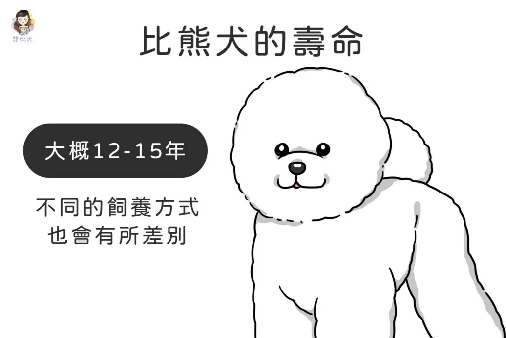 比熊犬的壽命