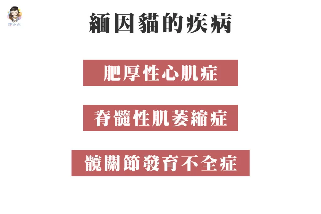 緬因貓的疾病