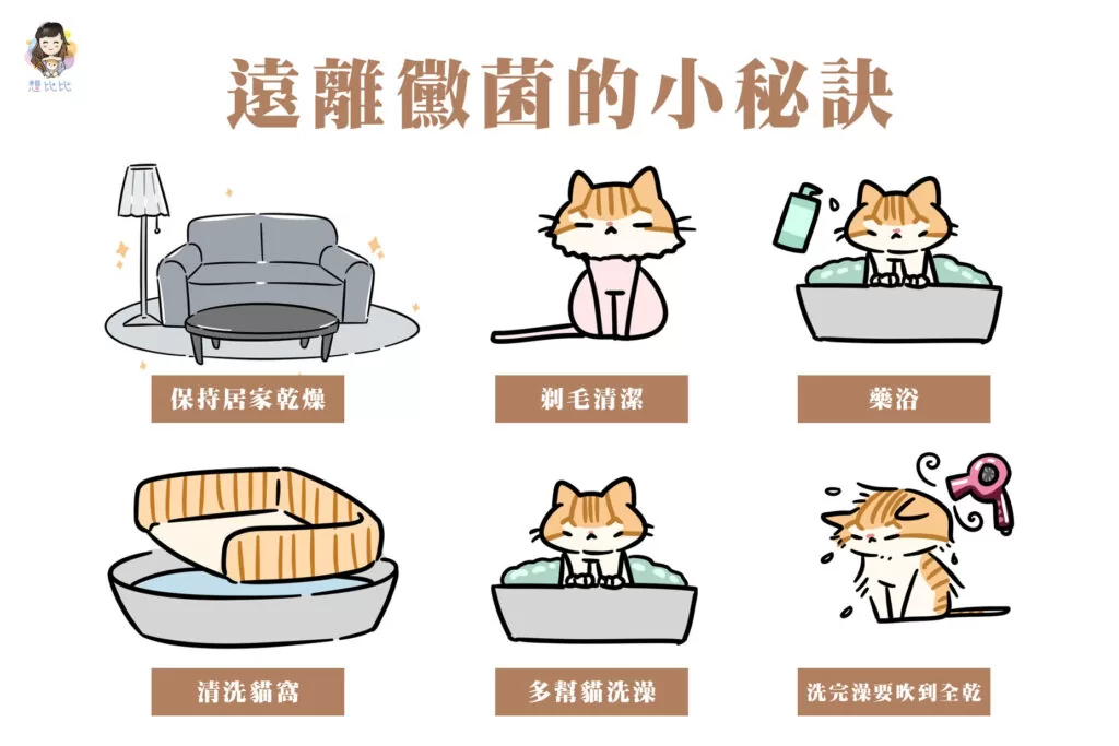 遠離黴菌的小祕訣
