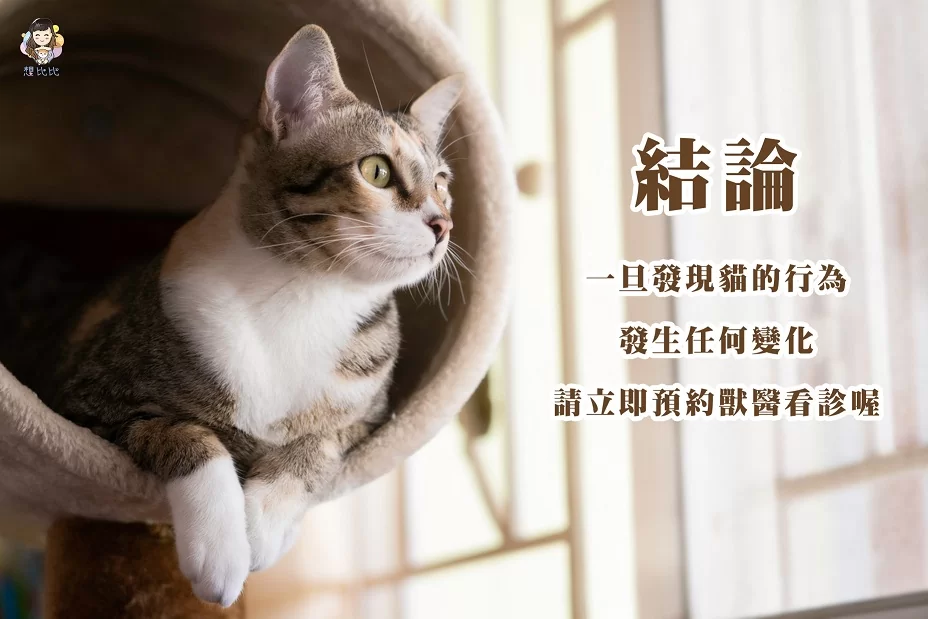 一旦發現貓的行為發生任何變化,請立即預約獸醫看診喔