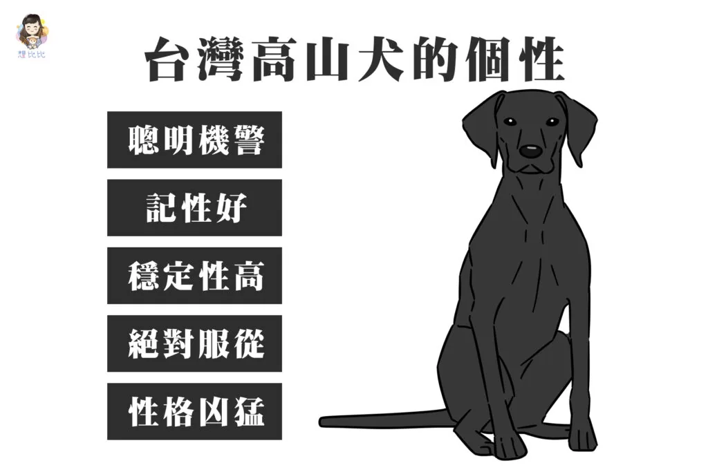 台灣高山犬的個性