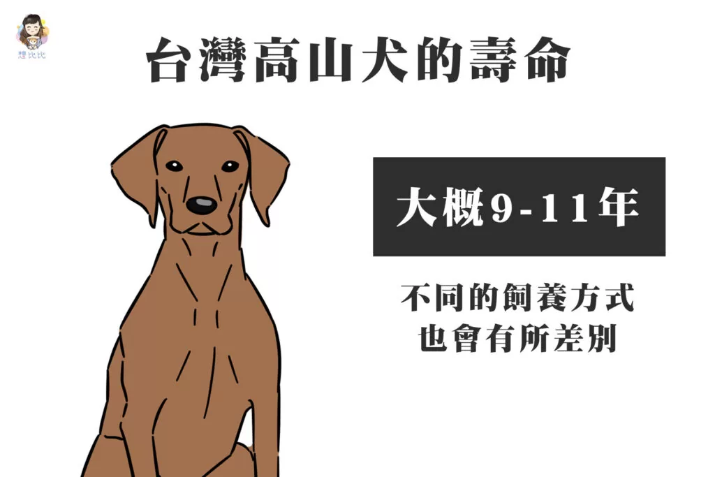 台灣高山犬的壽命