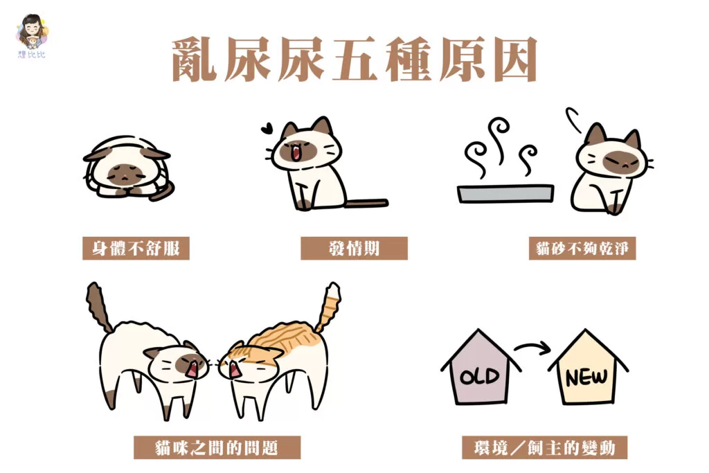 亂尿尿五種原因