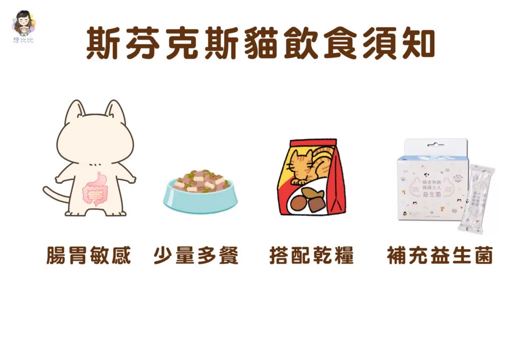 斯芬克斯貓飲食須知