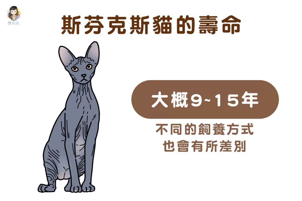 斯芬克斯貓的壽命