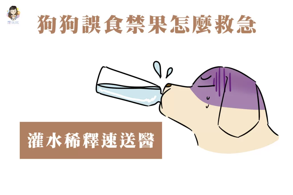 狗狗誤食禁果怎麼救急
