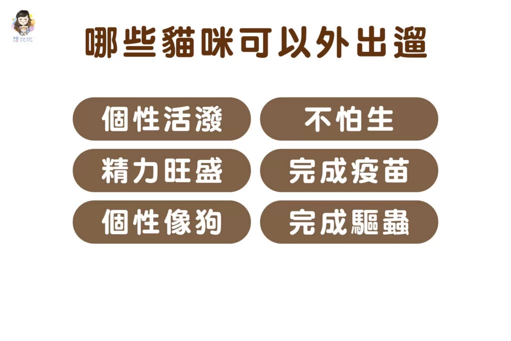 那些貓咪可以外出遛