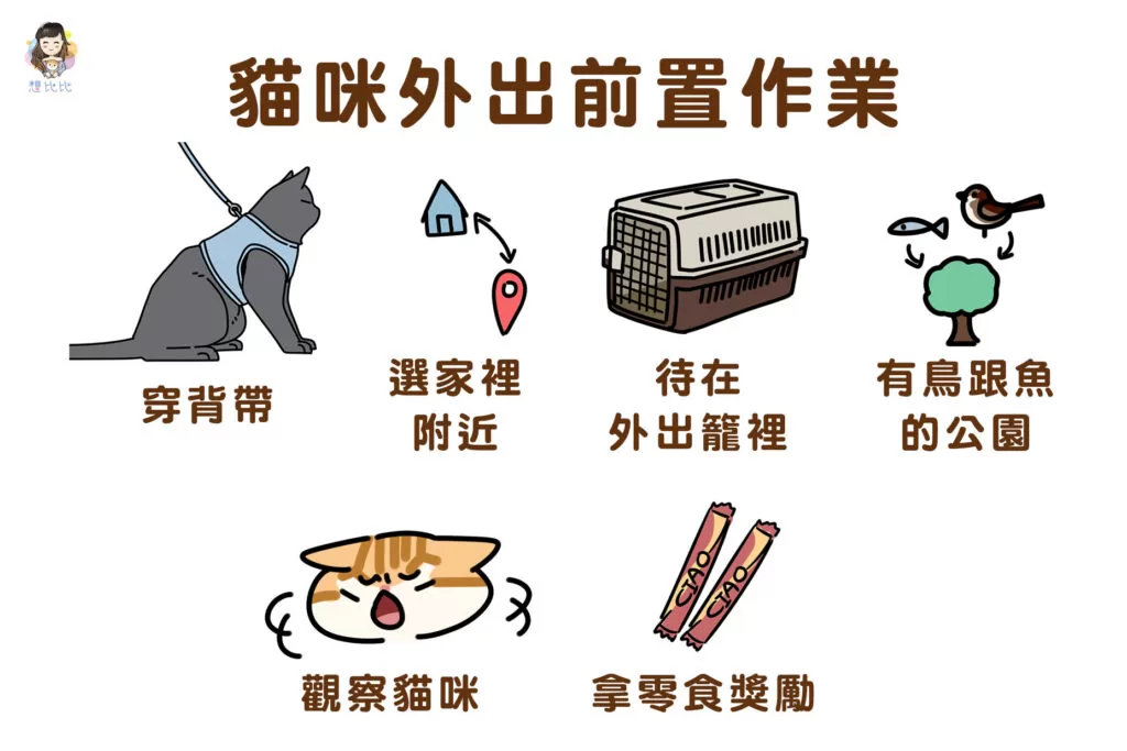 貓咪外出前置作業