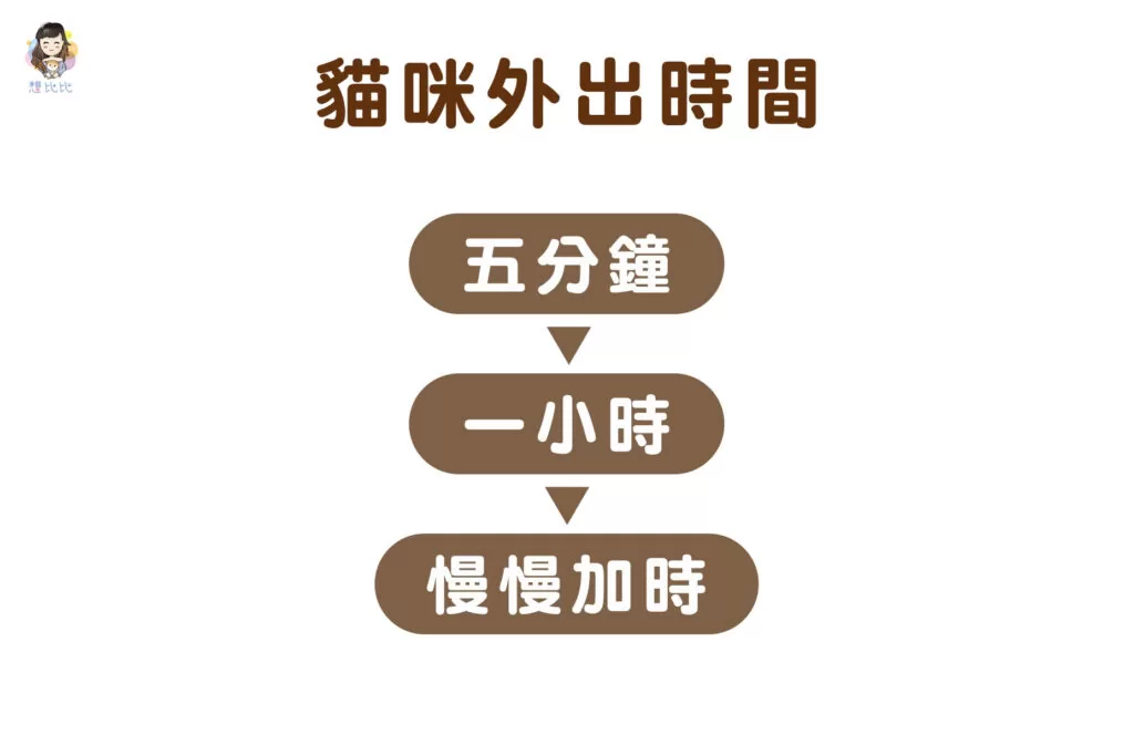 貓咪外出時間