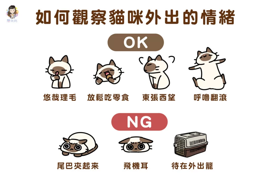 如何觀察貓咪外出的情緒