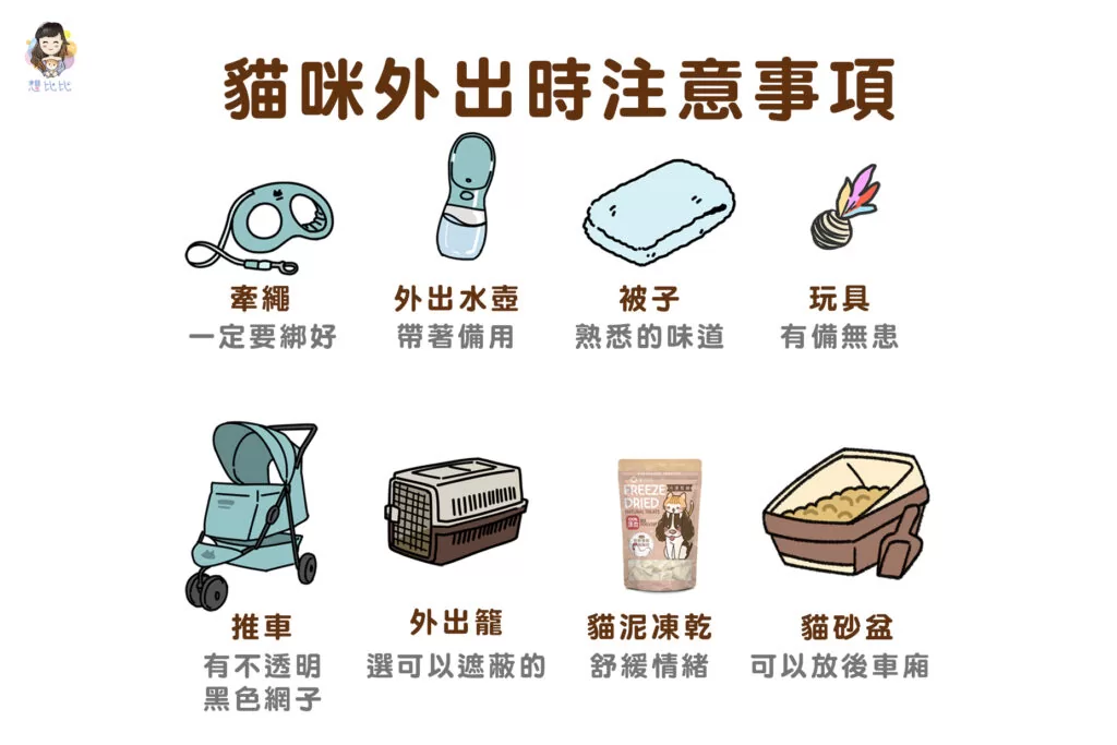 貓咪外出時注意事項
