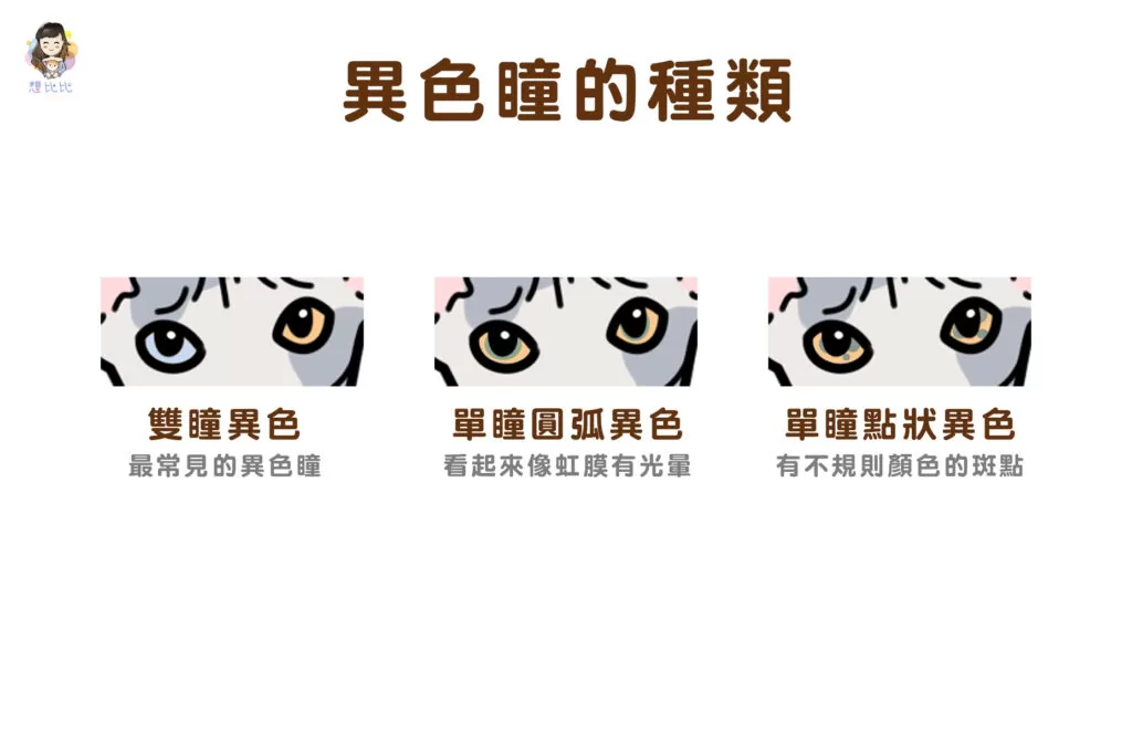 異色瞳的種類