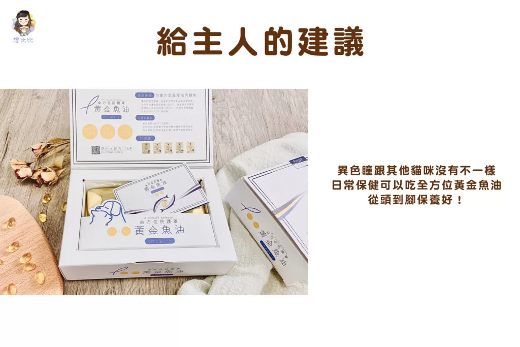 給主人的建議