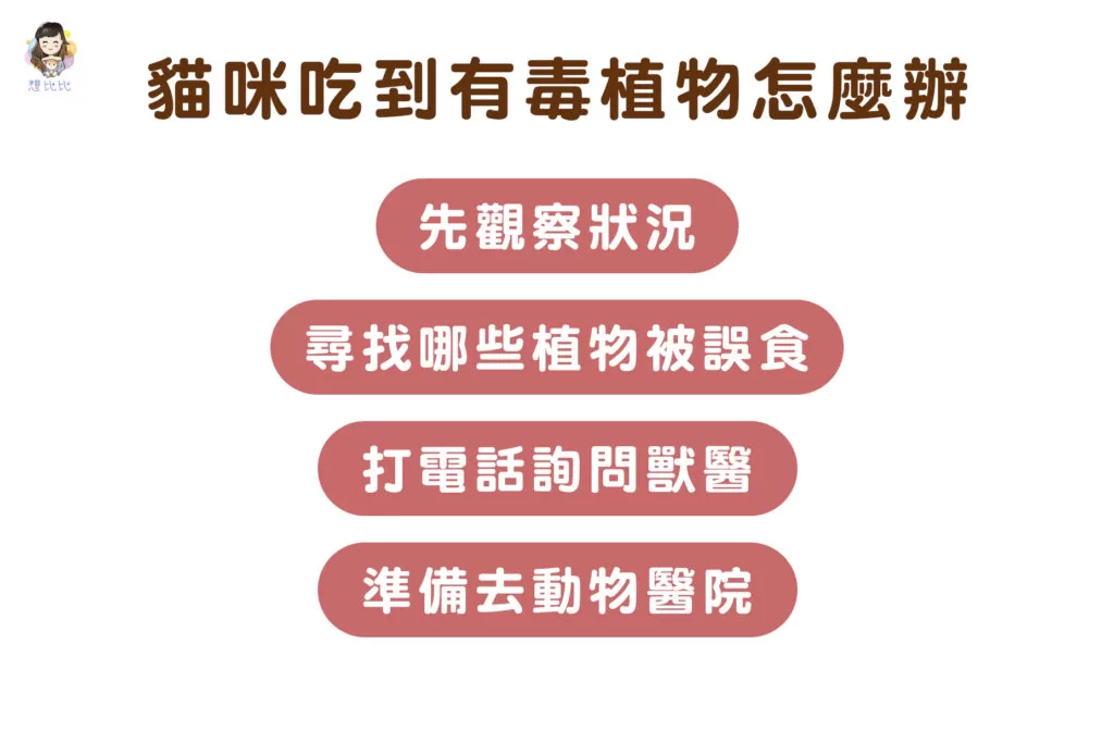 貓咪吃到有毒植物怎麼辦