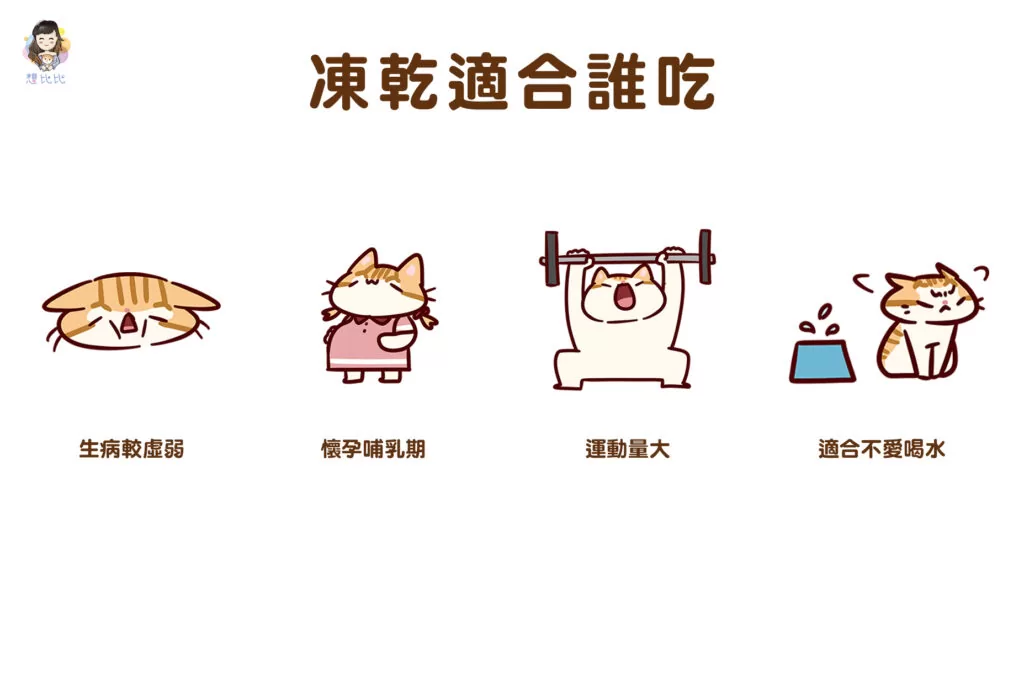 凍乾適合誰吃