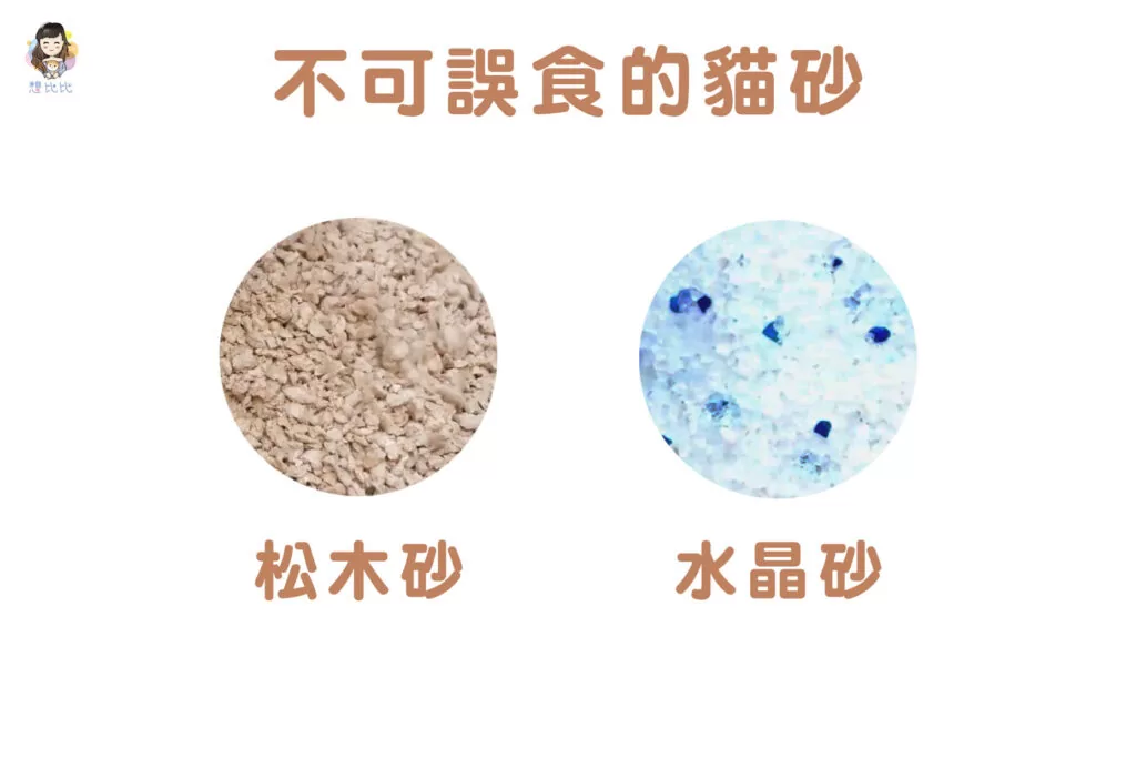 不可誤食的貓砂:松木砂、水晶砂