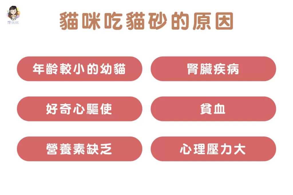 貓咪吃貓砂的原因