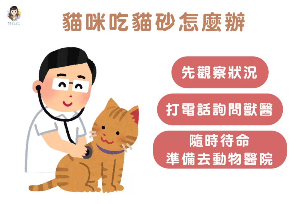 貓咪吃貓砂怎麼辦