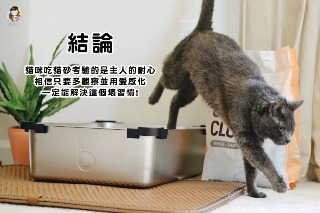 貓咪吃貓砂考驗的是主人的耐心,相信只要多觀察並用愛感化,一定能解決這個壞習慣!