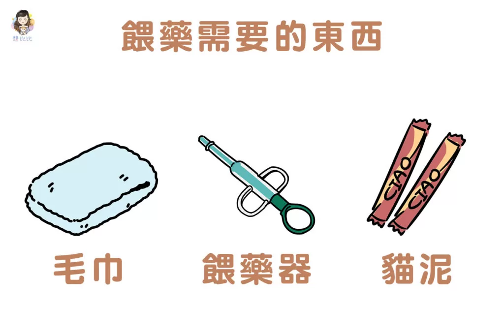 餵藥需要的東西:毛巾、餵藥器、貓泥