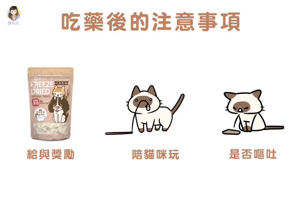 吃藥後的注意事項
