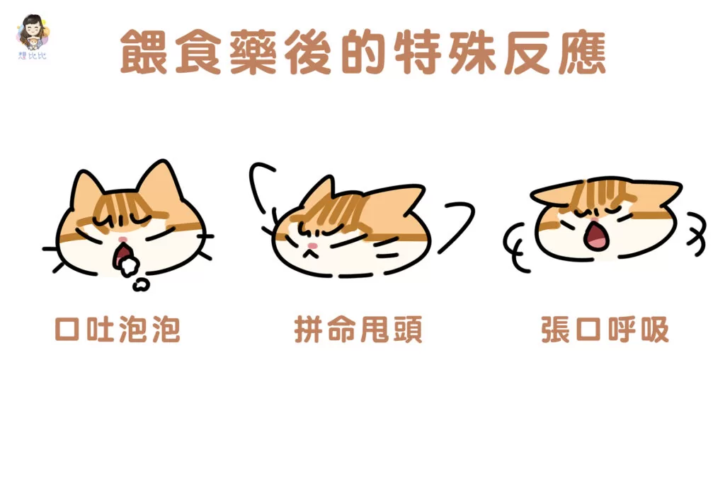餵食藥後的特殊反應