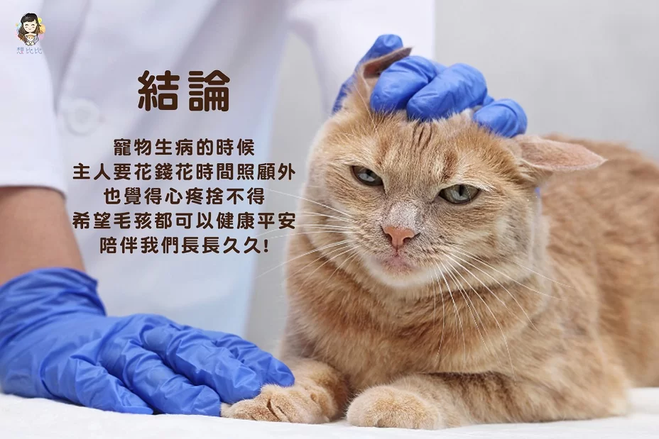 寵物生病的時候，主人要花錢花時間照顧外，也覺得心疼捨不得，希望毛孩都可以健康平安，陪伴我們長長久久!